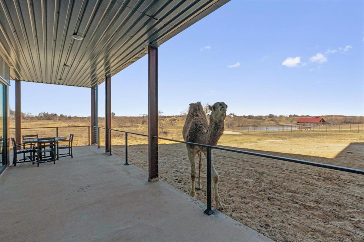 Blue Hills Ranch Hotel McGregor Exterior photo